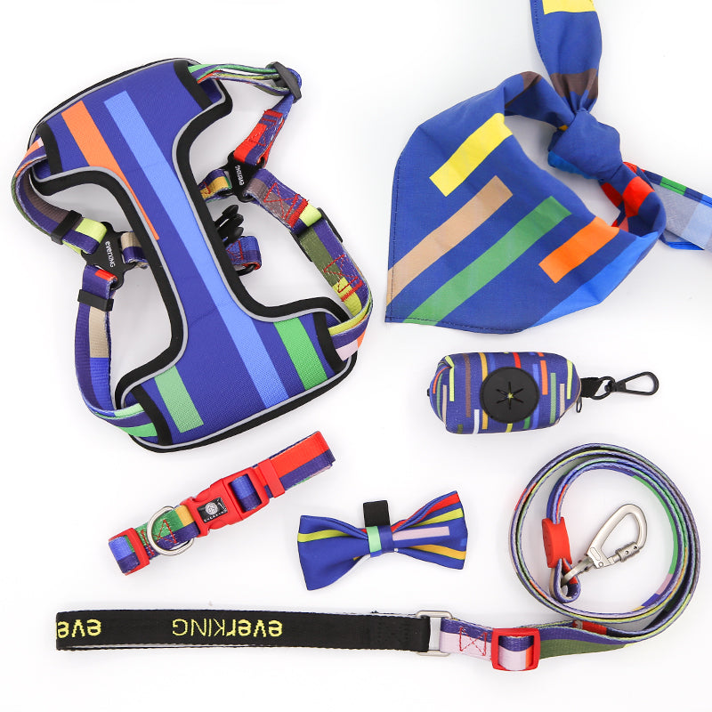 Blue striped dog leash collar set of 7 pieces