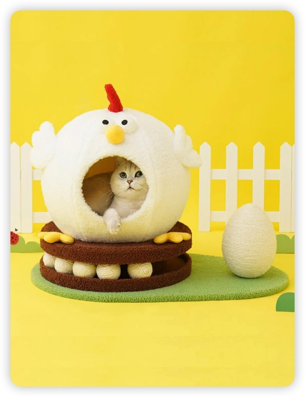 Chicken cat house