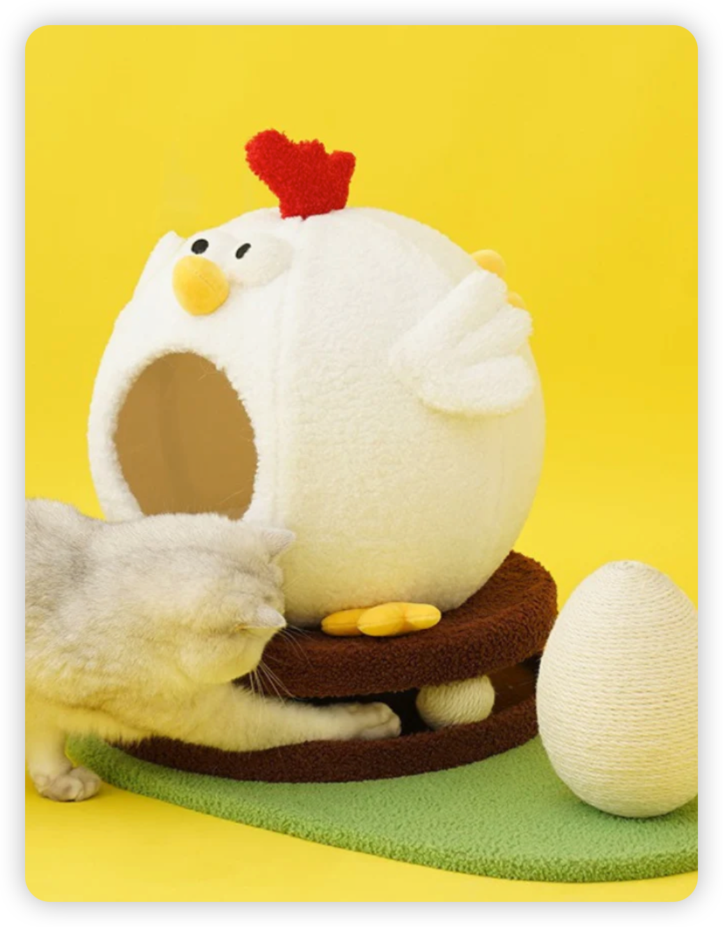 Chicken cat house