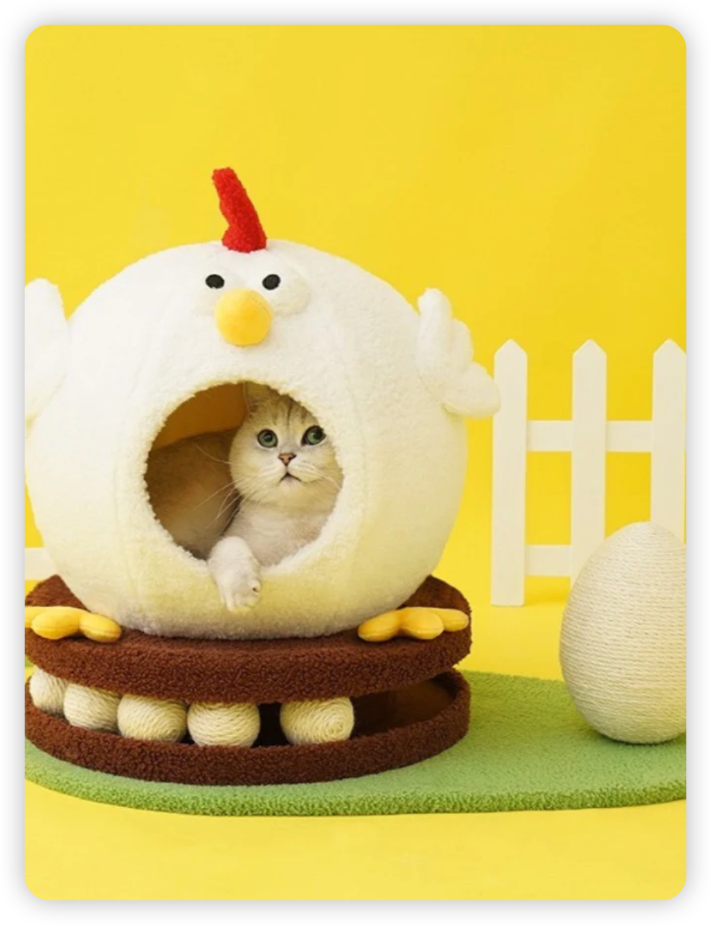 Chicken cat house