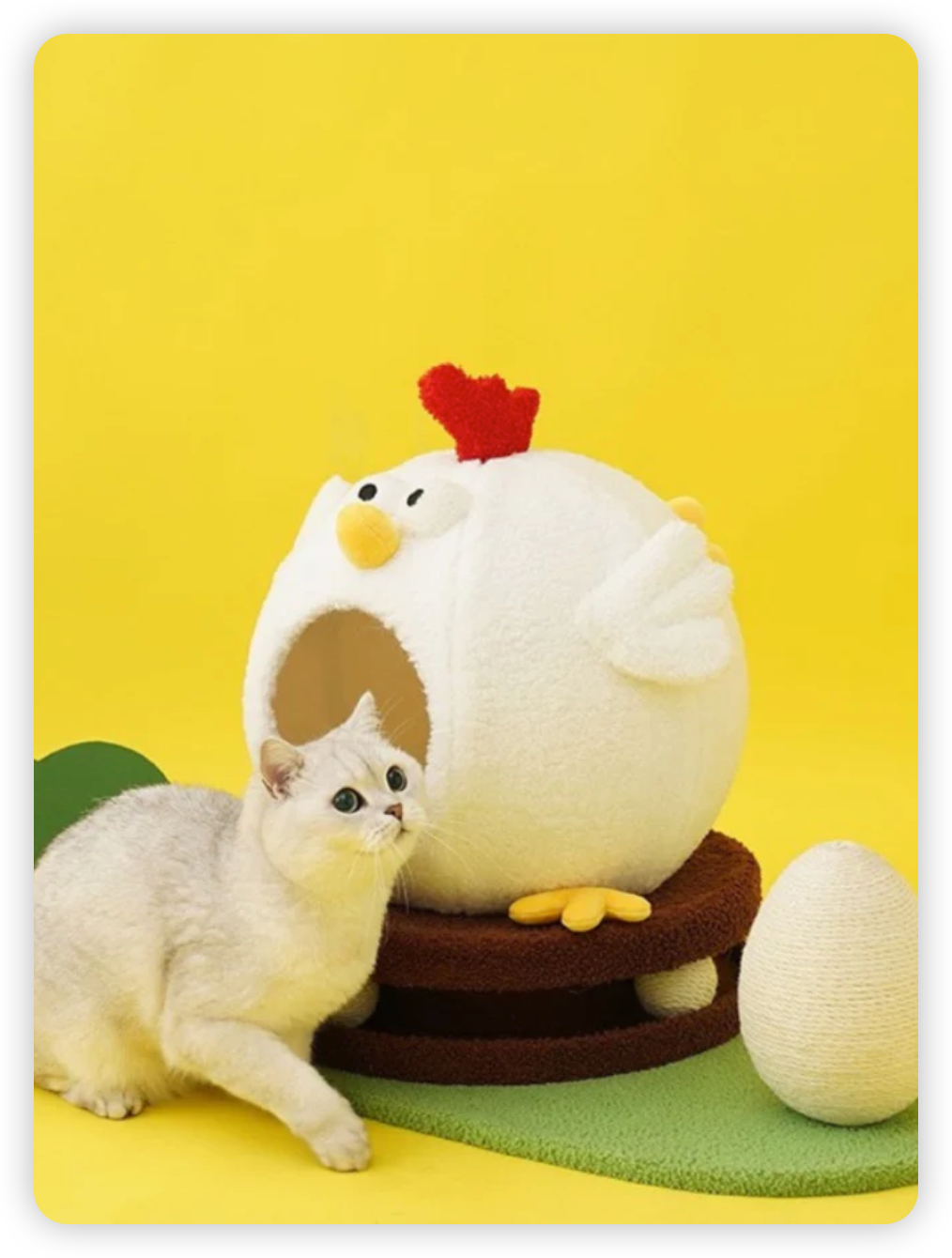 Chicken cat house