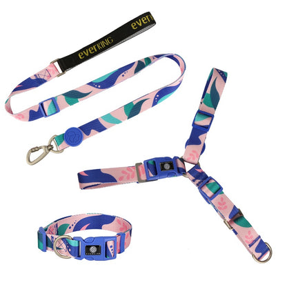 Colored dog collar traction rope