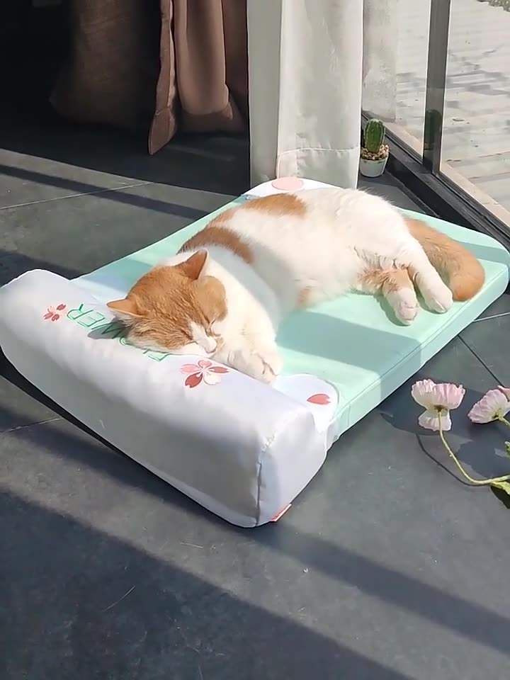 Cherry Blossom - inspired Pet Cooling Mat: Ideal for Cat Beds and Dog Beds, a Must - have Summer Heat - Relief Gadget