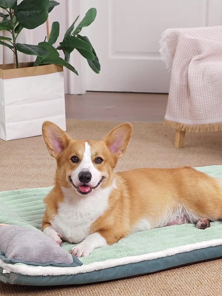 Stylish Textured Rabbit - like Fur Pillow Mat, Suitable for Both Cats and Dogs, Keeping Warm and Tear - resistant in Winter