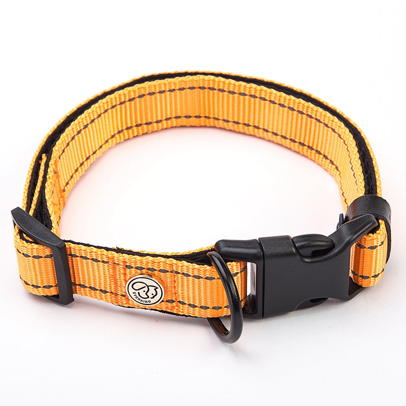 Multi color dog collar