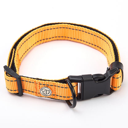 Multi color dog collar