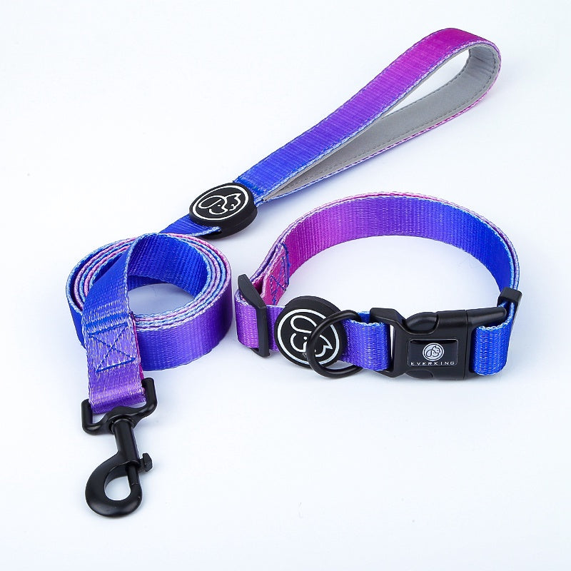 Dog Gradient Collar