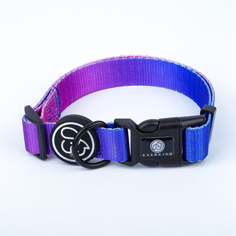 Dog Gradient Collar