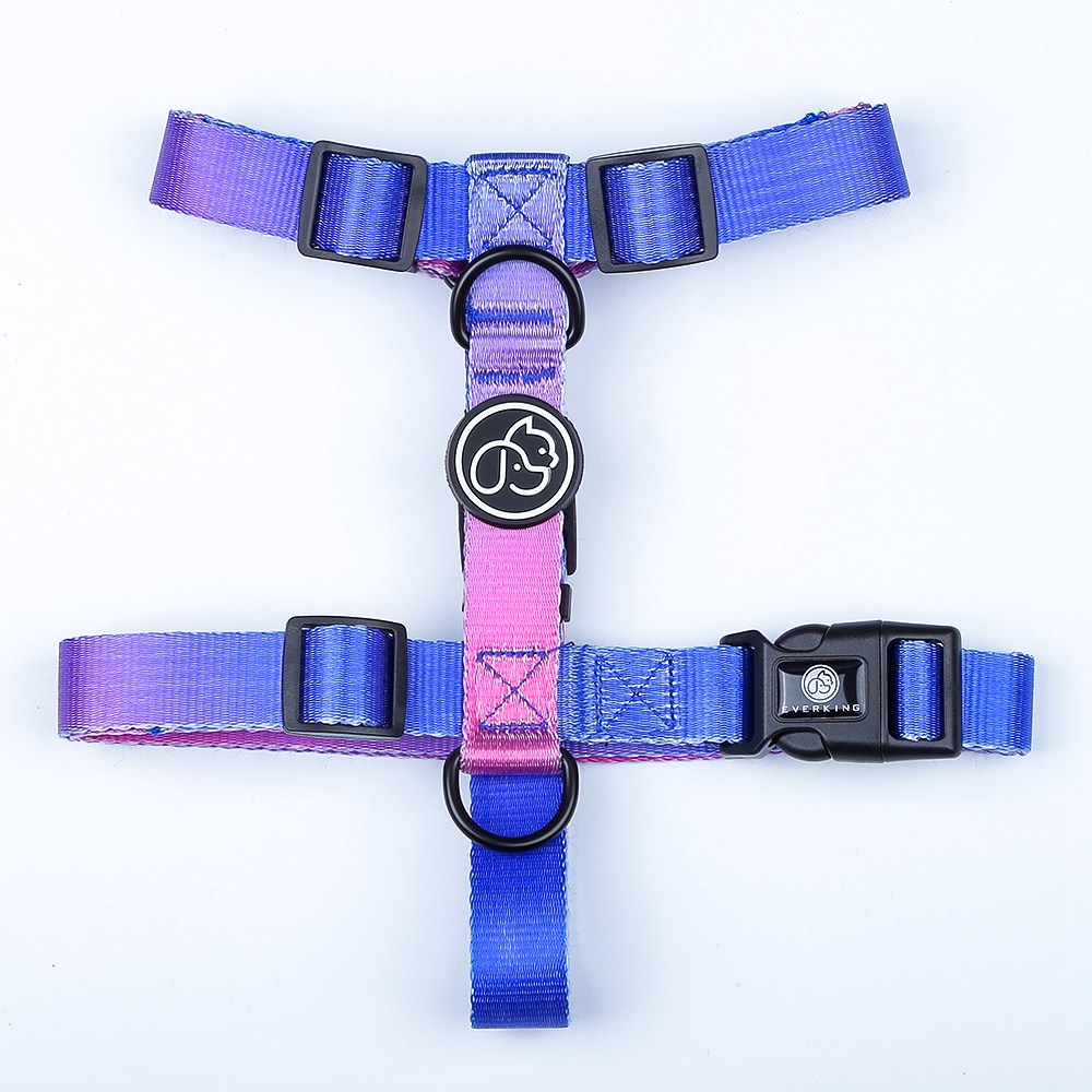 Dog Gradient Collar