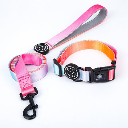 Dog Gradient Collar