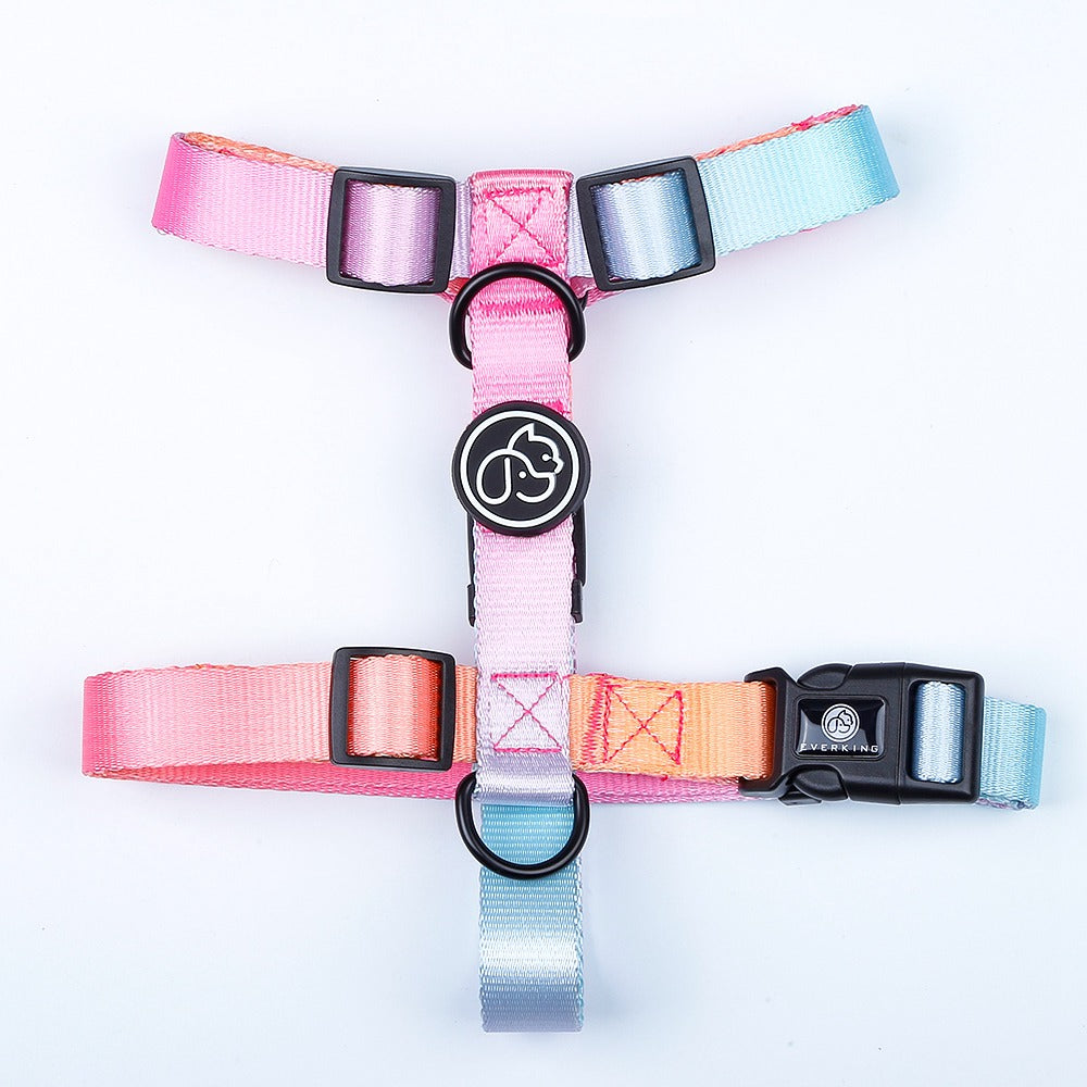 Dog Gradient Collar