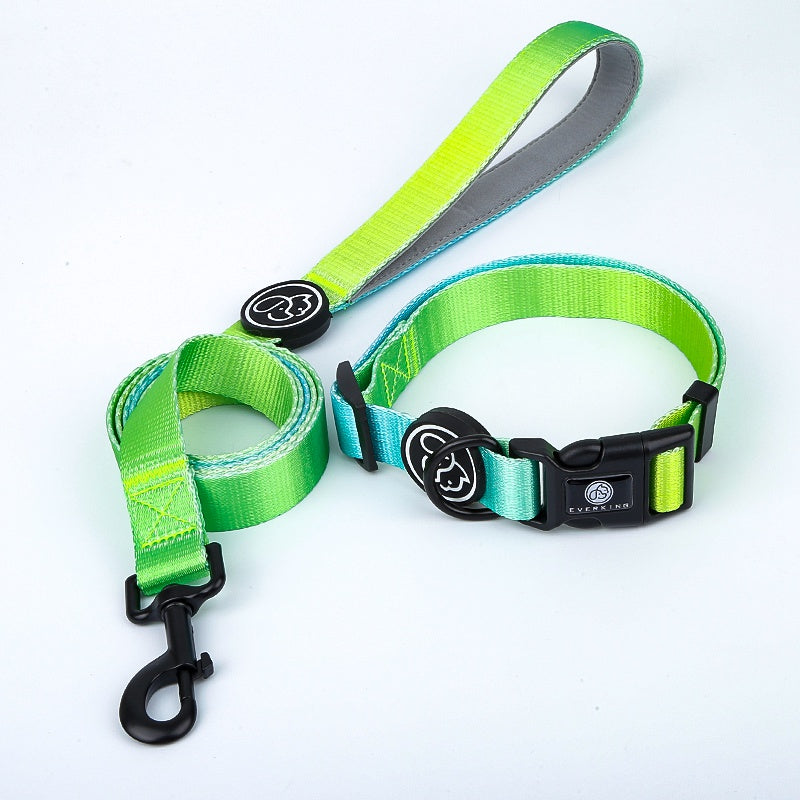 Dog Gradient Collar