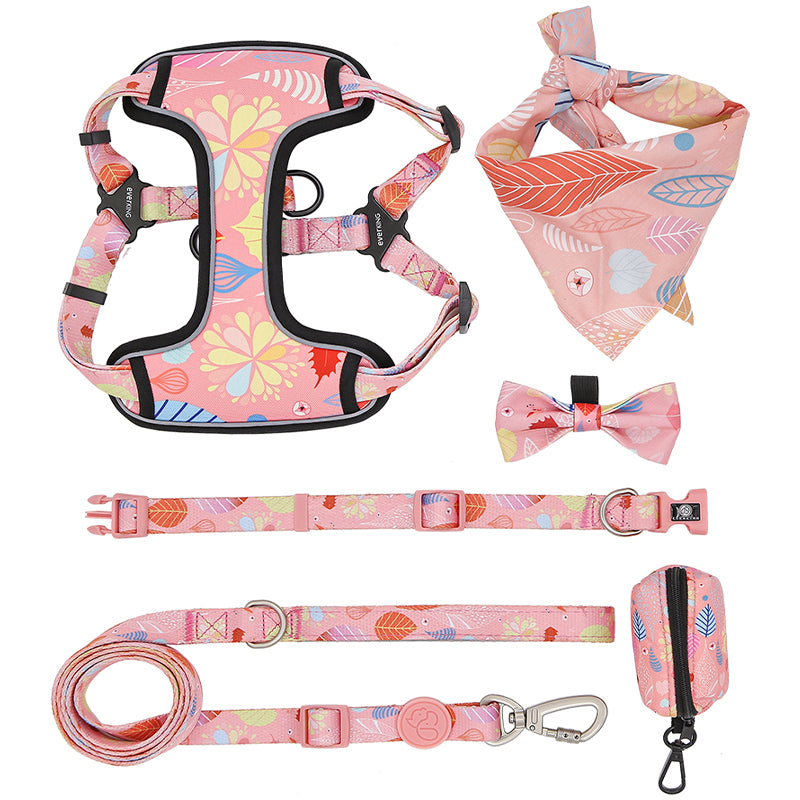 Dog Collar Pink 7-piece Set