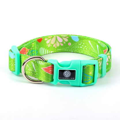 Dog Multi Color Collar