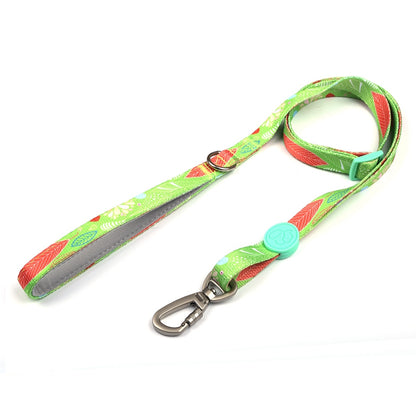 Dog Multi Color Collar