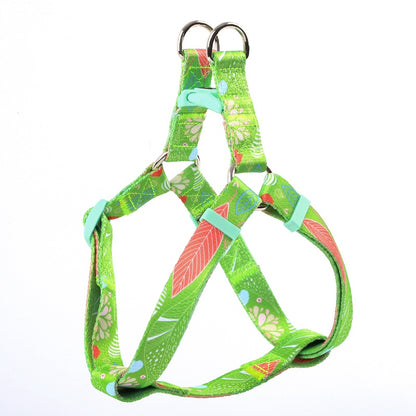 Dog Multi Color Collar