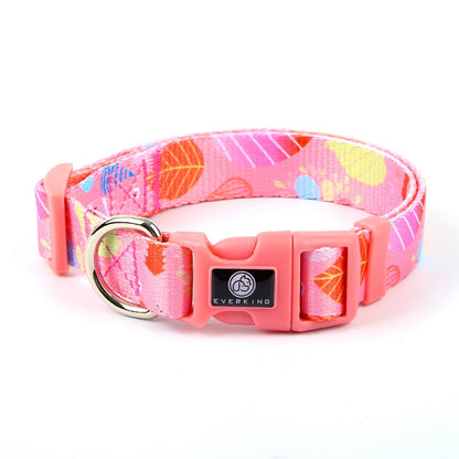 Dog Multi Color Collar