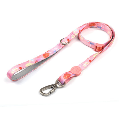 Dog Multi Color Collar