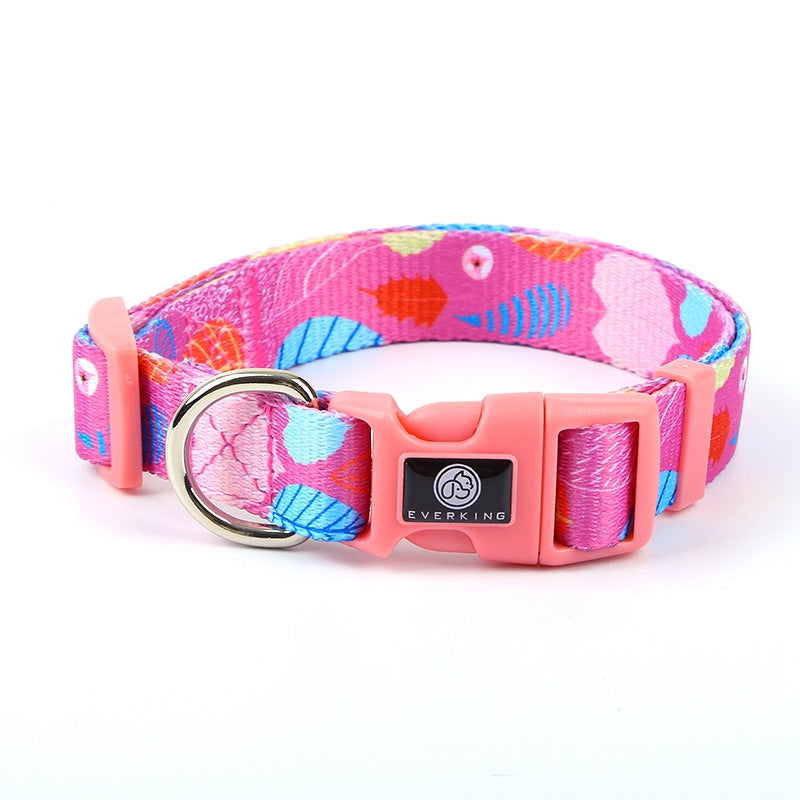 Dog Multi Color Collar