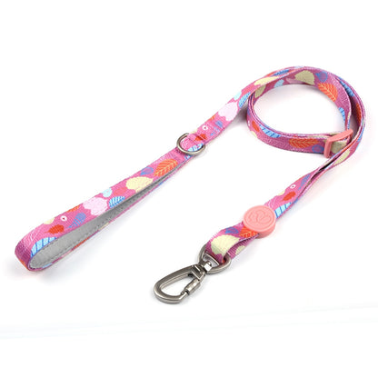 Dog Multi Color Collar