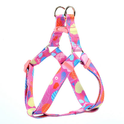 Dog Multi Color Collar