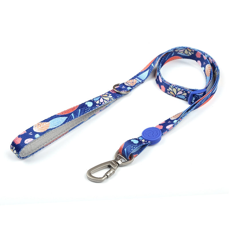 Dog Multi Color Collar