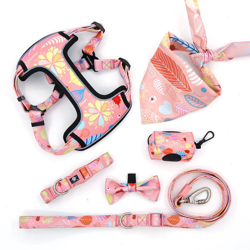 Dog Collar Pink 7-piece Set