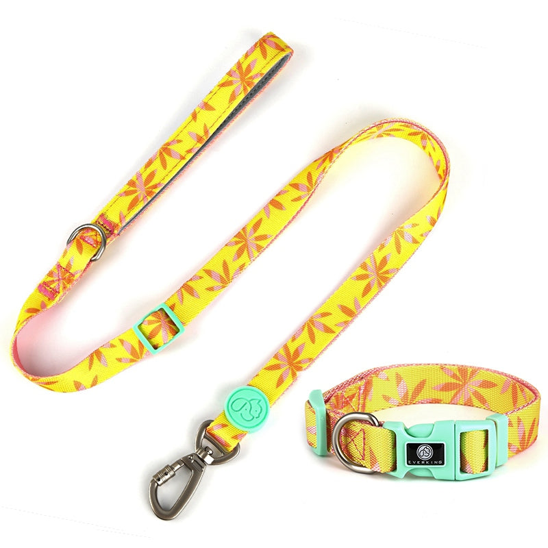 Bodian Holiday Dog Collar Traction Rope