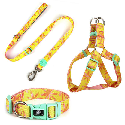 Bodian Holiday Dog Collar Traction Rope