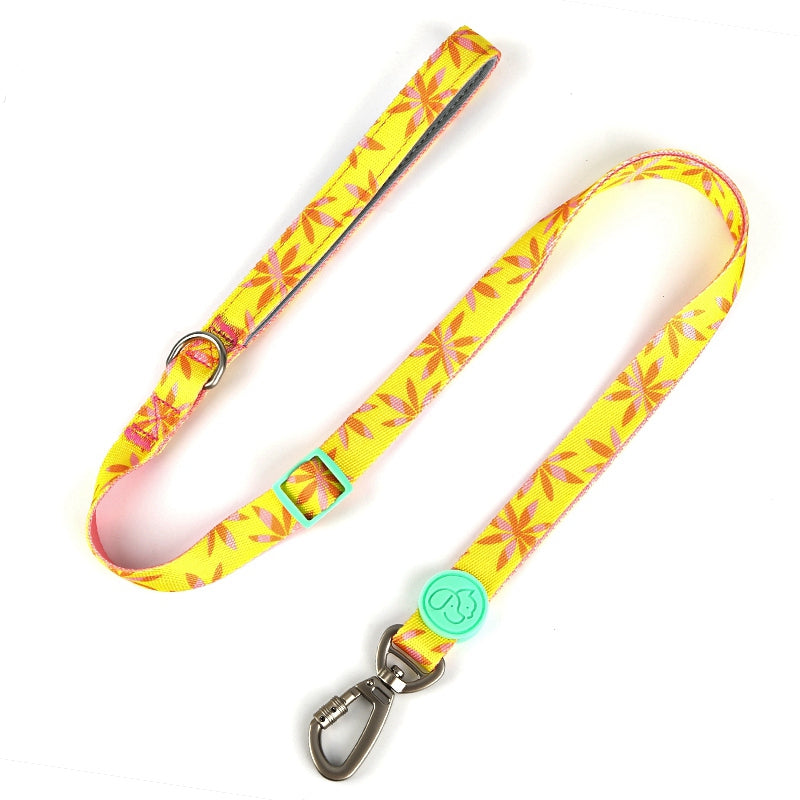 Bodian Holiday Dog Collar Traction Rope