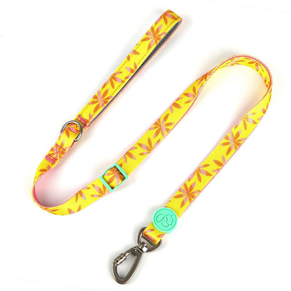 Bodian Holiday Dog Collar Traction Rope