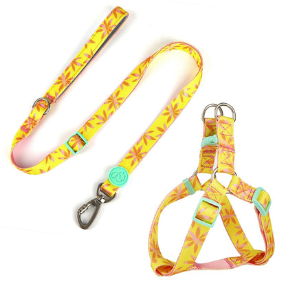 Bodian Holiday Dog Collar Traction Rope