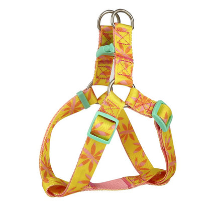 Bodian Holiday Dog Collar Traction Rope