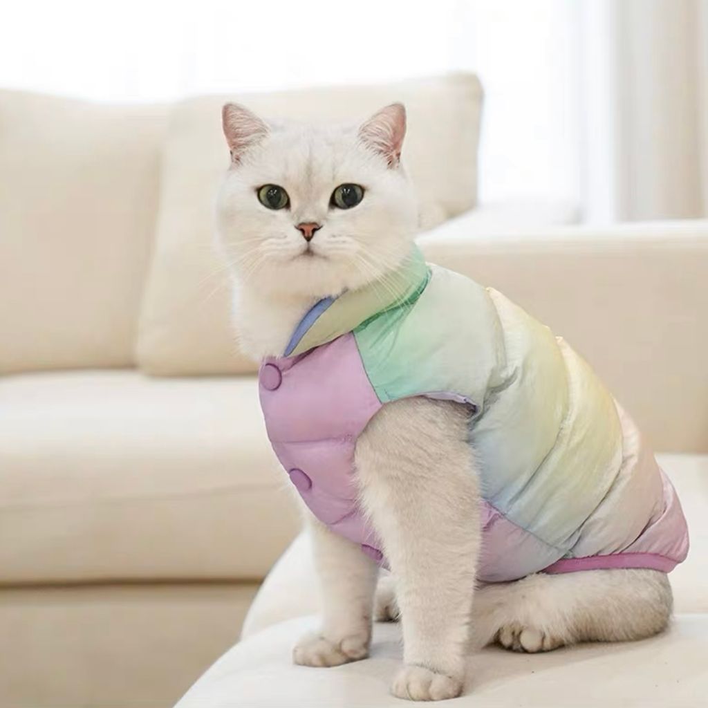 Rainbow marshmallow space vest