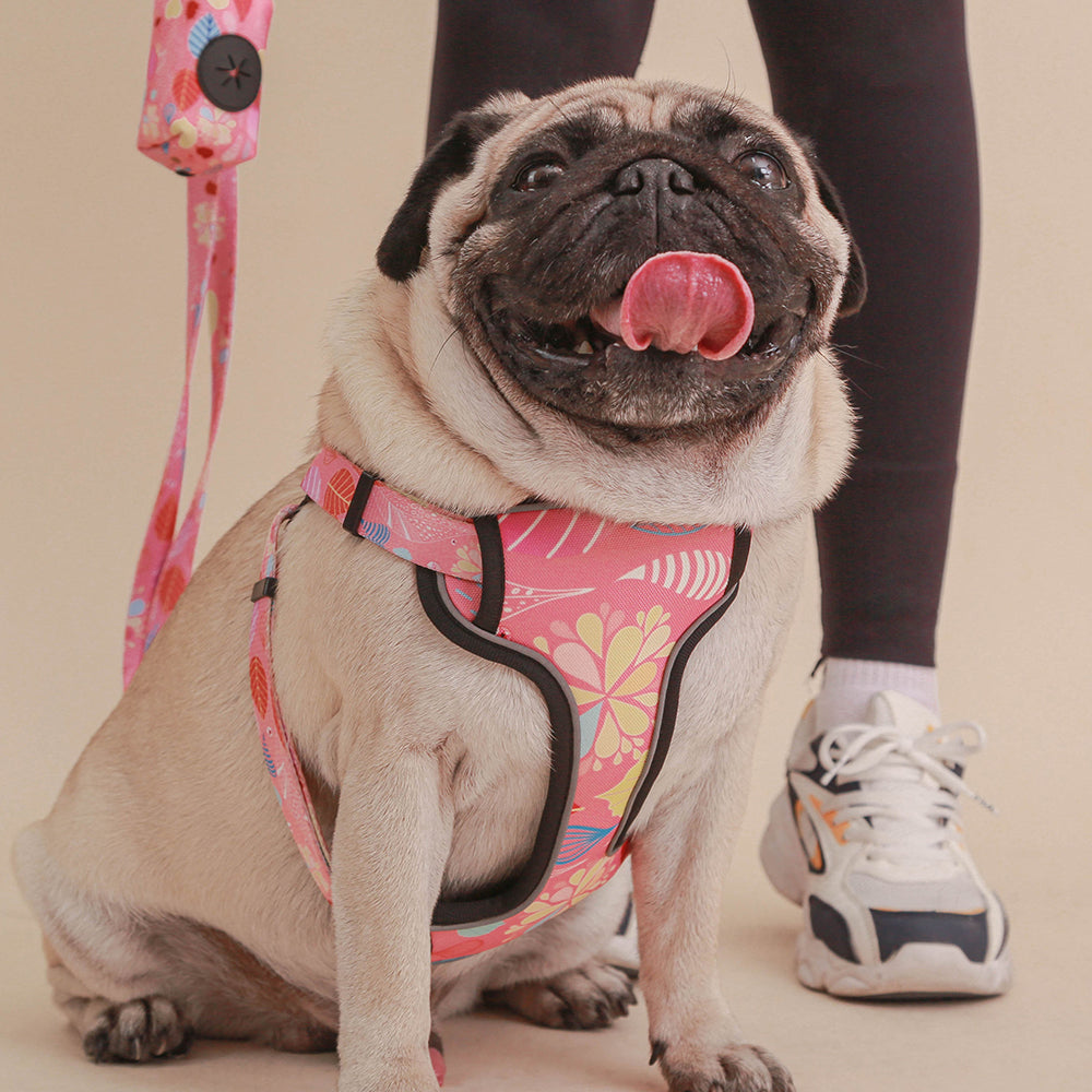 Multi style dog chest strap traction rope