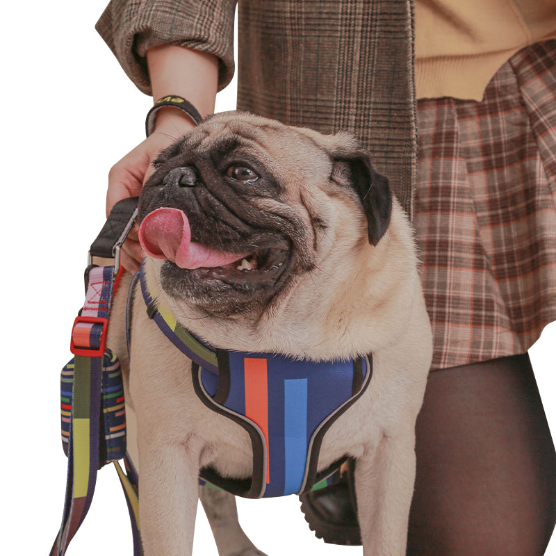 Multi style dog chest strap traction rope