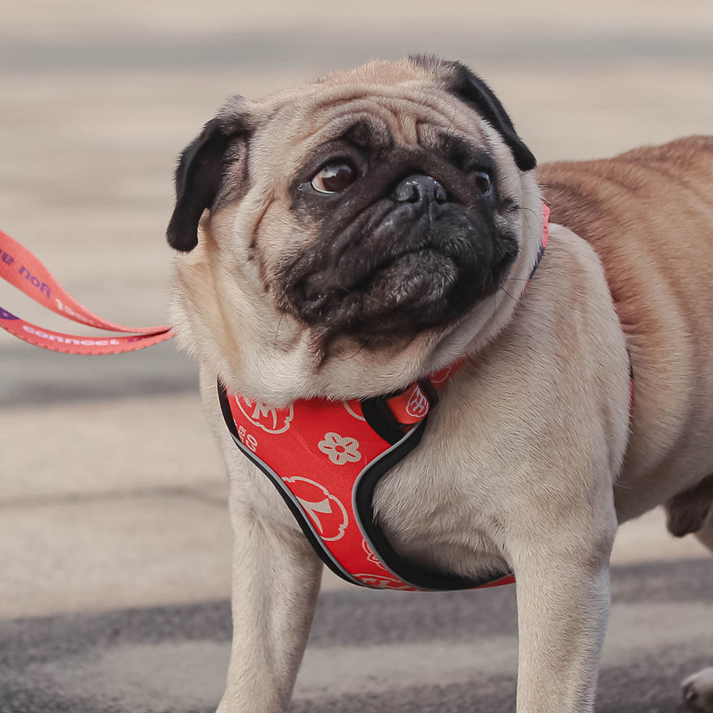 Multi style dog chest strap traction rope