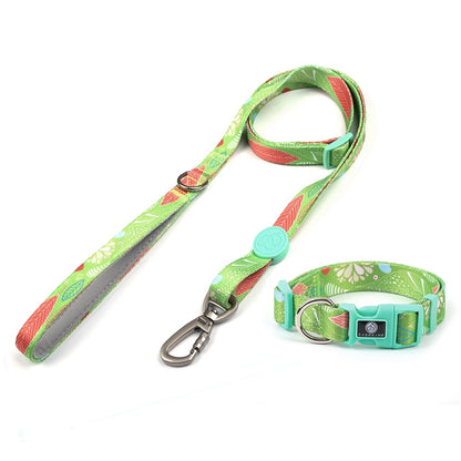 Dog Multi Color Collar