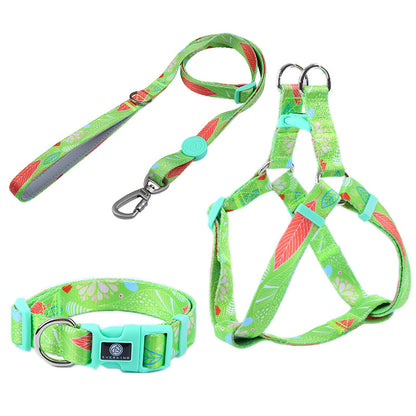 Dog Multi Color Collar