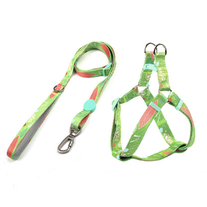 Dog Multi Color Collar