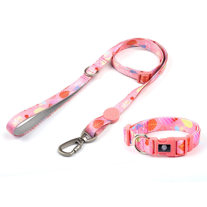 Dog Multi Color Collar