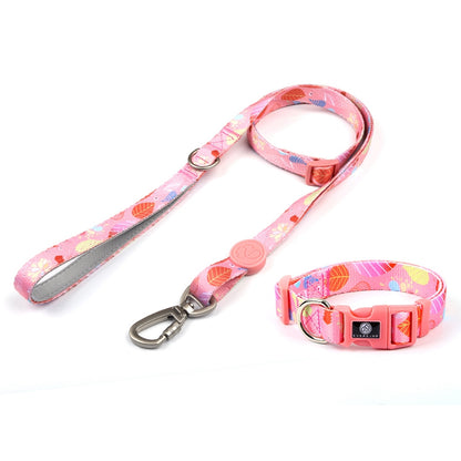 Dog Multi Color Collar