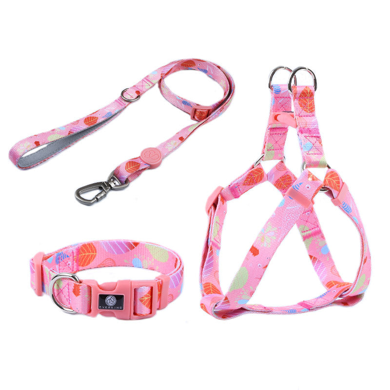 Dog Multi Color Collar