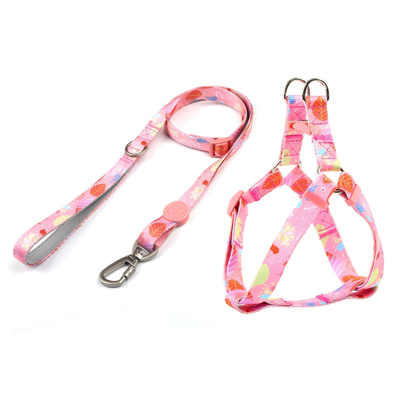 Dog Multi Color Collar