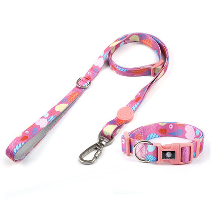 Dog Multi Color Collar