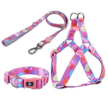 Dog Multi Color Collar