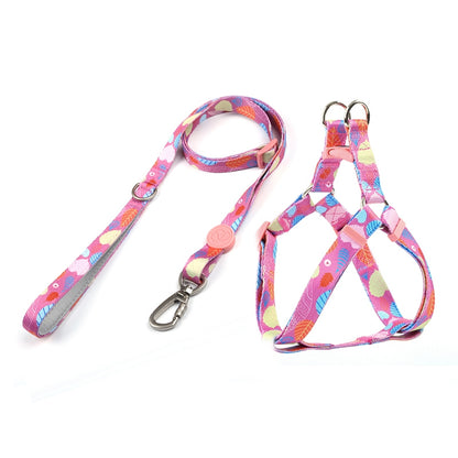 Dog Multi Color Collar