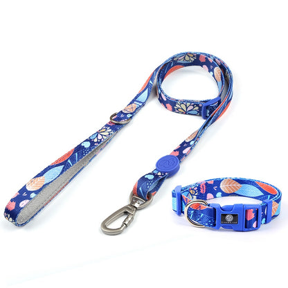 Dog Multi Color Collar