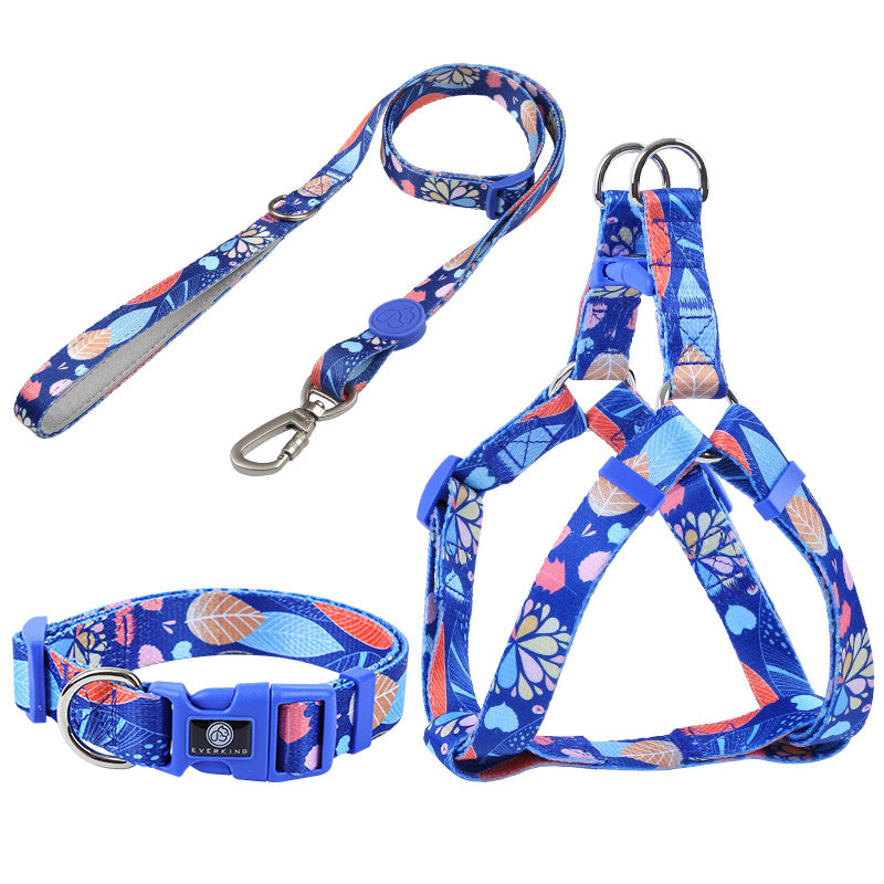 Dog Multi Color Collar