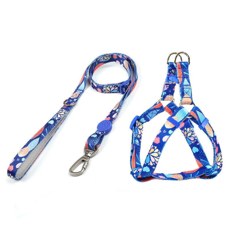 Dog Multi Color Collar